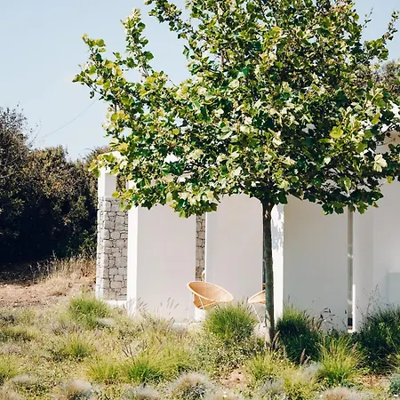Villa Hidden Hill Naxos
